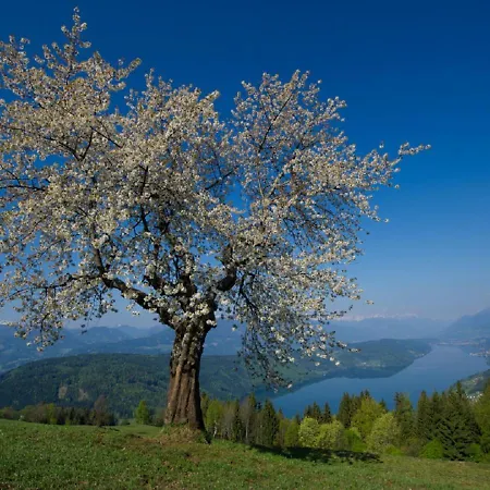 Konzept Schmiede Seeboden
